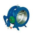 Title Disc Butterfly Type Check Valve